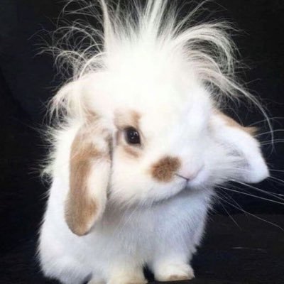 ddori12345678's profile picture. postype : https://t.co/wEHiAEt21s