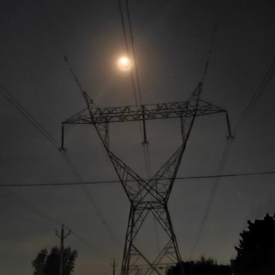 GondSumeet59453's profile picture. 