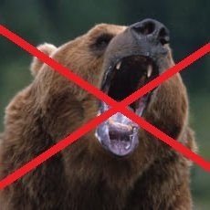 yard12_sougo's profile picture. 熊の根絶希望。熊の駆除に関わる方々を応援しています。
熊被害を防ぐためにもっと駆除の声をあげよう！！

「熊を有害な害獣と認定し徹底的に駆除を求めます。一刻も早く法改正を！！」 https://t.co/FmDPuA4KuW