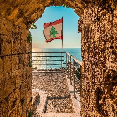 ElieF10452's profile picture. 