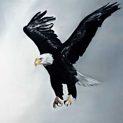 emsettin538130's profile picture. Tanrı Türk'ü korusun.