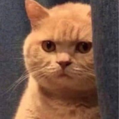 waimaiwa's profile picture. โอเคทุกคนผมยอมรับว่าผมรักเคะ เลิกล้อได้แล้วจ้า