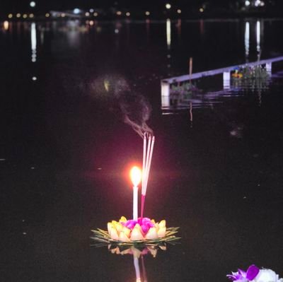 ENN77129455's profile picture. 