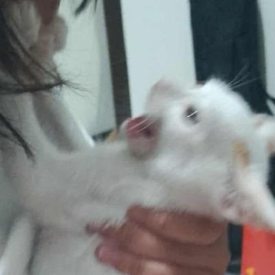 P4stelcole's profile picture. It's me Cole | Airdrop Hunter | Not Multi