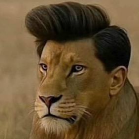 onepiecesulag's profile picture. love brawlhalla and one piece 😊😊❤️💙💙💜