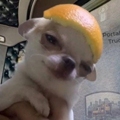 slumptest00's profile picture. ADHD(All Day Hanwhaeagles Days...)