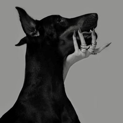 cookiesnncrm_'s profile picture. 21 | 161 | 42 | tan skin