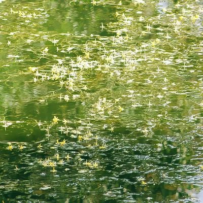 morayooluwaaa's profile picture. 'it is no bad thing to celebrate a simple life'