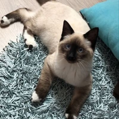 mineiro3145's profile picture. 