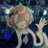 りんぱなさんのプロフィール画像