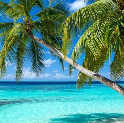 Nano430117's profile picture. Cuan terus airdrop