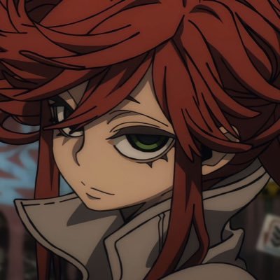 castorveil's profile picture. hsr and anime