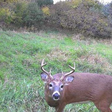 zink273's profile picture. Fisherman, Hunter, Archer, Sarcasm expert, MTB biker, #Jesus