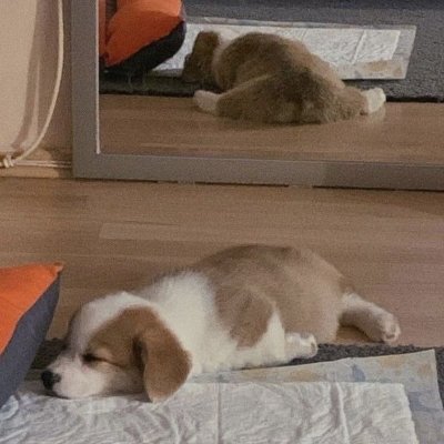 NKadao98322's profile picture. 🌊