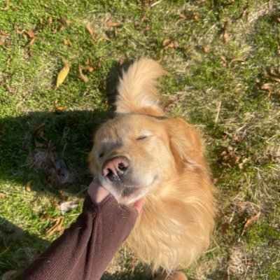 Siaaaaa6258's profile picture. Making the impossible possible.