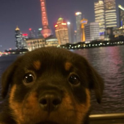 U99J8__'s profile picture. 投稿交友｜搭子牵线｜日常分享网友投稿｜情绪树洞
同城交流｜非上海勿扰｜欢迎上海地区  已认证，每天下午六点后更帖 希望大家能在X上开心快乐冲浪
