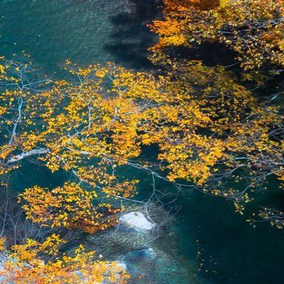 Landscapeakarin's profile picture. 秋田出身🌾 風景写真家/ライター/Z8