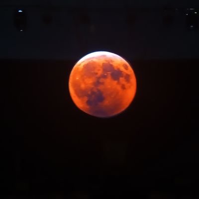 mandala_ha's profile picture. 