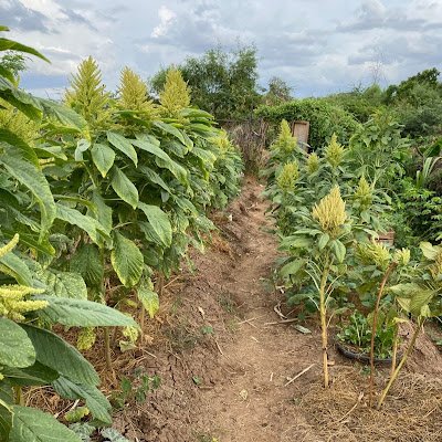 Gaston10547's profile picture. 