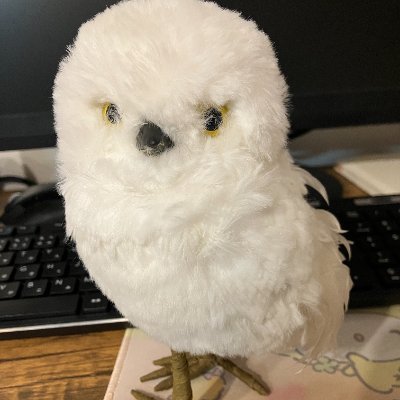 nil61612246's profile picture. おいでやす
2025年8月からサブ垢として始動します
/詩/SRE/戦略/ゲーム/@zero05506500