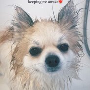 XanthicSWE's profile picture. 