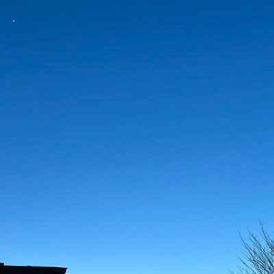 Albireo_tanka's profile picture. 短歌。 星がすきです。 #tanka #短歌