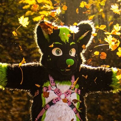 WifiPaw__'s profile picture. 🇺🇲
Hello, my name is WifiPaw, I am a czech furry, love thomas and friends and youtuber
🇨🇿
Ahoj, jsem WifiPaw, jsem český furrík a miluju lokomotivu tomáše