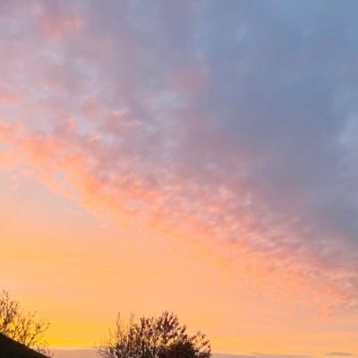 awakenedmum's profile picture. just a dog lover and far right thug apparently