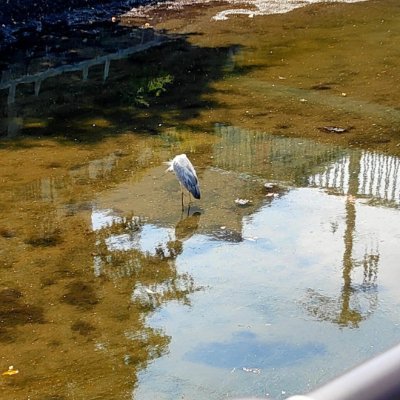 aa2555977966452's profile picture. 