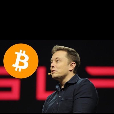 reevmusk222's profile picture. PEACE AND LOVE, CEO OF TESLA INVESTMENT COMPANY 🚀🚀🚀