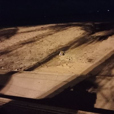 bkkp16's profile picture. 