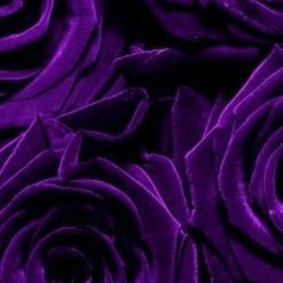 Ciku_ndiritu's profile picture. 