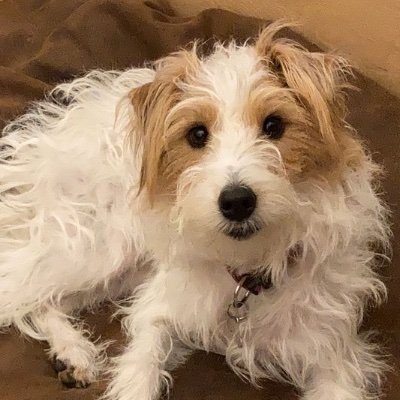 CathyBaker1990's profile picture. 