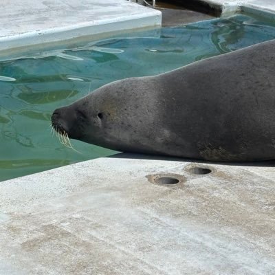 teisyuha_higai's profile picture. 戸建て買ったらよこにキックボクシングジムできた…低周波音に悩んでおります。ボクシングジムの法規制を強化して欲しい。 隣人ガチャワーストランキング殿堂入り。