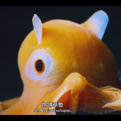 haimiandilun's profile picture. may not human