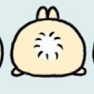 radarisu1111131's profile picture. 今日も今日とてにっこにこである