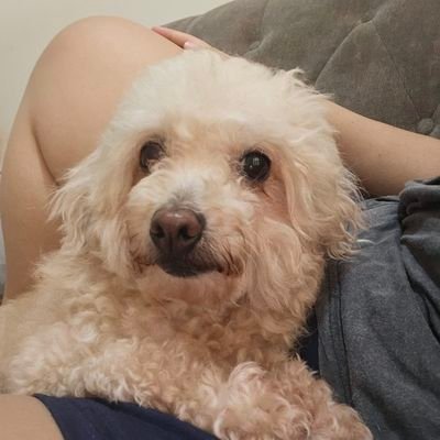 Marselinahikki's profile picture. Bumil Pengangguran 🐄