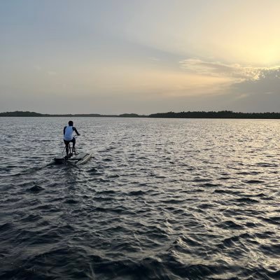 mfvdelt's profile picture. {9:51}