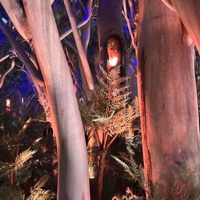 nekosarada7's profile picture. 