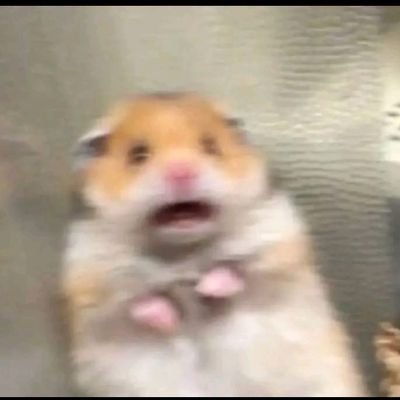 Mswati_TKSV19's profile picture. Ons was nooit bedoel om dieselfde te wees nie.