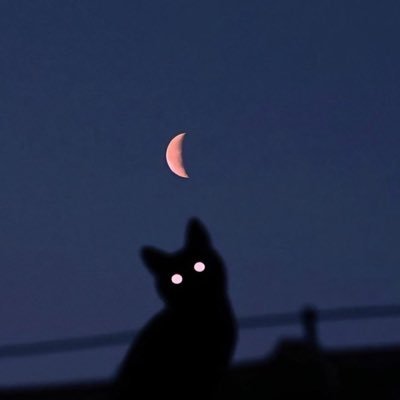 dannypaivaok's profile picture. 7H3 M345UR3 OF 1N73LL163NC3 15 7H3 481L17Y 70 CH4N63. Proud father of Neu-K and Juana