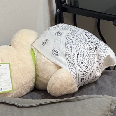 oelcehtna's profile picture. 𝒯𝑒𝒶𝓂 𝒫𝒪𝒫𝒪｜IVE 🐶🐰 ｜MHDHH 🐱🧸 ｜想讓你看看我的宇宙🪐🐶💫🌠