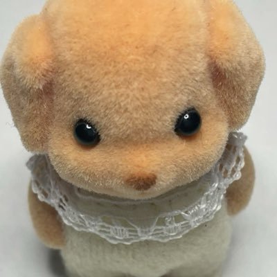 saaeeeyuc's profile picture. 