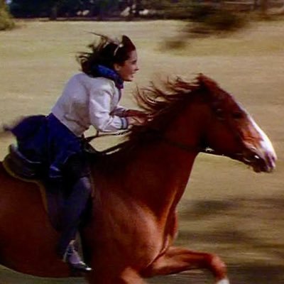 gadfliery's profile picture. 