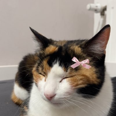 skatewmn's profile picture. 