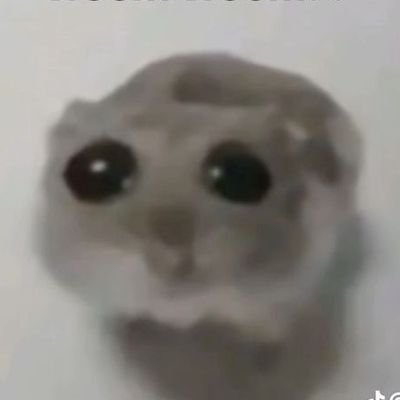 YdY4ZIssWQ40696's profile picture. 