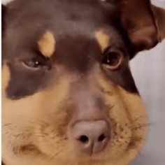 quarktodamoon's profile picture. 熊老师