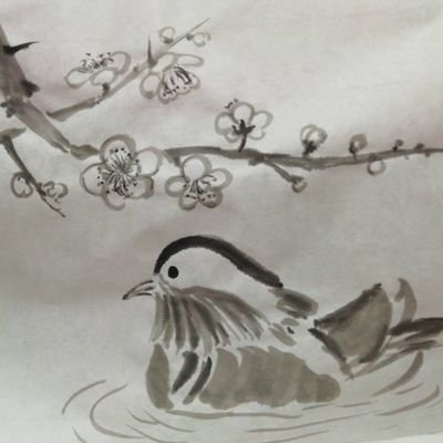 Qianshaaa's profile picture. ITF.25 比文　|　フォルクローレ愛好会　|　猫お世話サークル　|　寺社の写真とか