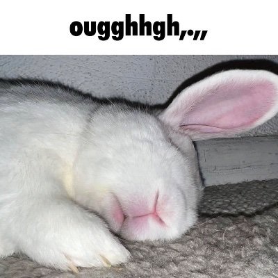 sloth_slothstuf's profile picture. pretty sure I just lost my old account ugghhhhh got to try and refollow from memory. ok I give up refollowing, my memory is shit. 18