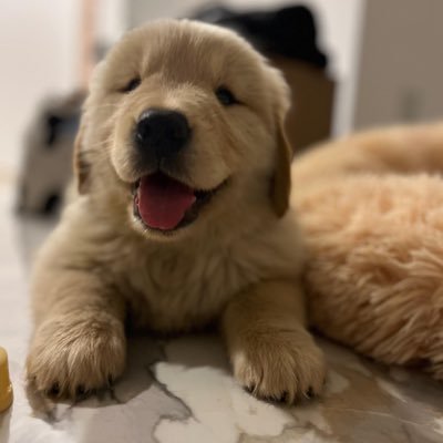 RideOrDie_1998's profile picture. #27# BMX 🙌, Licenciado en Economía